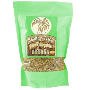 HEALTHY TRICK GRANOLA ENERGÉTICA CON MATCHA